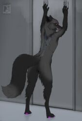  absurd_res alice_(akaifox) angry anthro athletic awkwardcollie back_markings bared_teeth black_body black_fur canid canine claw_markings clawing clawing_door claws crotch_tuft dipstick_tail ears_back eyes_(marking) featureless_crotch female female_(lore) flat_chested fluffy fox fur fur_markings gloves_(marking) glowing glowing_markings grey_body grey_claws grey_fur hi_res imminent_transformation leg_markings looking_at_viewer looking_back mammal markings metal metal_door pawpads pivoted_ears pupils purple_pawpads red_eyes red_fox silver_fox slit_pupils smaller_version_at_source snarling socks_(marking) solo tail tail_markings teeth tense true_fox tuft vein watermark 