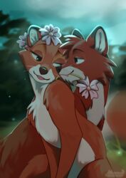  absurd_res canid canine canon_couple daisy_(flower) daww disney doqqo_png duo eye_contact female feral flirting flower flowers_in_fur fluffy fluffy_tail fox fur hi_res looking_at_another love male male/female mammal plant red_fox smile tail the_fox_and_the_hound tod_(tfath) true_fox vixey_(tfath) 