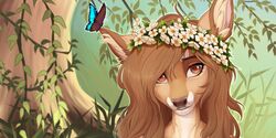  2021 ambient_arthropod anthro arthropod blue_morpho blue_wings breasts brown_eyes brown_hair brown_nose butterfly countershading day deer detailed_background digital_media_(artwork) duo eri_(feral.) eyebrows eyelashes female feral floral flower flower_crown flower_garland fur garland hair hi_res inner_ear_fluff insects kyotoleopard lepidopteran long_hair looking_aside mammal on_ear outside pink_inner_ear plant shaded smile solo tan_body tan_fur tan_inner_ear_fluff tree tuft vines white_body white_fur widescreen wings 