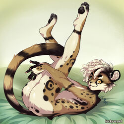  anthro ass bed digital_media_(artwork) dreadlocks ear_piercing felid fur furniture hair king_(rawringrabbit) legs_up looking_at_viewer luckypan lying male mammal markings nude on_back piercing ring_(marking) ringed_tail shaded solo spots spotted_body spotted_fur striped_markings striped_tail stripes tail tail_markings white_hair yellow_eyes 