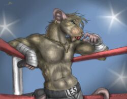  anthro athletic athletic_anthro athletic_male blue_eyes camera_flash candy conditional_dnp dessert ear_piercing ear_ring fighting_ring food jewelry lollipop male mammal murid murine necklace piercing rat ring_piercing rodent shirtless taped_hands whimsicalsquirrel wrestler 