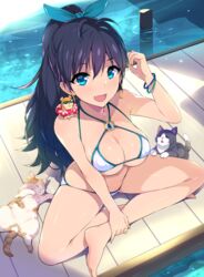  animal animal_on_shoulder arm_up bangle bare_legs bare_shoulders barefoot bikini black_hair blue_eyes blue_ribbon bracelet breasts cleavage commentary_request earrings feline female ganaha_hibiki hair_ribbon hamster hamster_on_shoulder hamuzou hidebou hoop_earrings idolmaster idolmaster_(classic) jewelry large_breasts long_hair looking_at_viewer o-ring o-ring_top oerba_yun_fang ponytail ribbon sitting smile solo swimsuit water white_bikini 