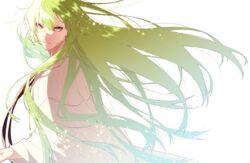  1boy androgynous commentary enkidu_(fate) fate/strange_fake fate_(series) floating_hair from_side fuka_(hk_nemo) green_eyes green_hair highres long_hair looking_at_viewer looking_to_the_side male_focus parted_lips robe simple_background smile solo sparkle upper_body very_long_hair white_background wind 