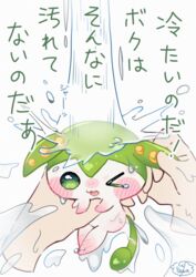  ambiguous_gender ambiguous_species anthro bathing disembodied_hand duo elemental_creature flora_fauna hi_res human japanese_text mammal plant text translation_request voicevox water yawaoru zundamon 