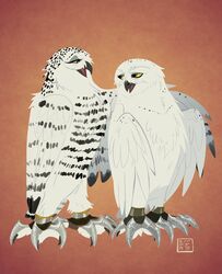  avian barran battle_claws bird boron_(gogh) duo feathers female feral guardians_of_ga&#039;hoole hi_res horned_owl kabuki-aku male orange_background owl simple_background snowy_owl true_owl white_body white_feathers yellow_eyes 