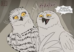  avian barran bird bodily_fluids boron_(gogh) dialogue duo feathers female feral guardians_of_ga&#039;hoole horned_owl kabuki-aku laugh male owl snowy_owl tears true_owl white_body white_feathers yellow_eyes 