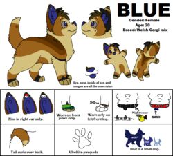  2011 aliasing ambiguous_gender black_body black_collar black_fur black_text blep blue_(sebdoggo) blue_eyes blue_inner_ear blue_nose blue_tongue bracelet brown_body brown_fur canid canine canis character_name clothing collar digital_drawing_(artwork) digital_media_(artwork) digitigrade domestic_dog ear_piercing english_text feral fingerless_gloves flat_colors fur gloves grey_sclera handwear herding_dog inner_ear_fluff jewelry mammal microsoft_paint_(artwork) mixed_breed model_sheet nintendo one_ear_up pastoral_dog pawpads piercing pokeball pokeball_ear_piercing pokemon red_collar sebdoggo smile snout solo standing stated_adult stated_age tail tan_body tan_fur text tongue tongue_out tuft welsh_corgi white_pawpads 