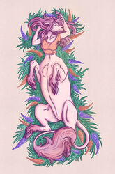  bottomless clothed clothing equid equid_taur equine female flower grass hair hi_res hooves horn mammal mammal_taur mythological_creature mythological_equine mythology plant relaxation relaxing smile solo taur unicorn unicorn_taur v.i.r.i.d.i 