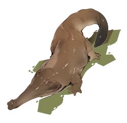  2025 5_toes abstract_background absurd_res ambiguous_feral ambiguous_gender amphibian archegosaurid black_eyes brown_body brown_skin brown_tail combos-n-doodles empty_eyes feet feral glistening glistening_body hi_res high-angle_view prehistoric_species prionosuchus quadruped shaded snout solo tail teeth temnospondyl toes wet 