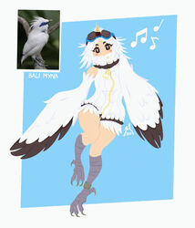  anklet bare_shoulders beamed_eighth_notes bird bird_legs black_feathers blue_background blush_stickers bright_pupils commentary creature_and_personification dress eighth_note english_commentary fake_beak feathers female goggles goggles_on_head harpy highres jaya_(lightklok) jewelry lightklok medium_hair monster_girl musical_note original parted_bangs photo_inset quarter_note reference_sheet sleeveless sleeveless_dress solo talons two-tone_background two-tone_wings white_background white_dress white_feathers white_hair white_pupils white_wings winged_arms wings zipper_dress zipper_pull_tab 