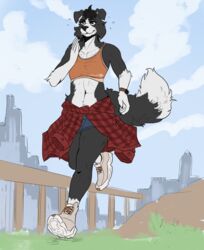  akoshak anthro athletic athletic_anthro athletic_female black_body black_fur border_collie bottomwear bra canid canine canis clothed clothing collie dipstick_tail domestic_dog female floppy_ears fluffy fluffy_tail footwear fully_clothed fur herding_dog hi_res jogging mammal markings midriff outside park pastoral_dog running sarah_(wheresmysocks) sheepdog shirt shoes shorts sneakers solo sports_bra tail tail_markings tied_shirt topwear underwear 