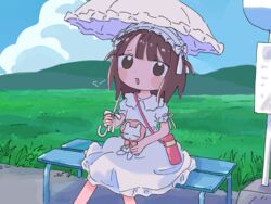  1nupool bench blush_stickers brown_eyes brown_hair bus_stop_sign commentary day dress female frilled_hairband frills grass hairband highres medium_hair original outdoors parasol sitting solo thermos umbrella white_dress 