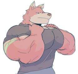  2020 absurd_res anthro biceps big_muscles brown_nose canid canine canis clothing crocobu fur green_body green_fur green_stripes hand_on_chest hi_res huge_muscles kane_(crocobu) looking_down male mammal multicolored_body multicolored_fur muscular muscular_anthro muscular_male pecs pink_body pink_fur red_eyes shirt simple_background solo striped_body striped_fur stripes tan_body tan_fur tight_clothing topwear white_background wolf 