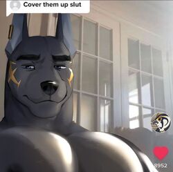  9klipse anthro anubian_jackal black_body black_fur canid canine canis cover_them_up_slut ear_piercing ear_ring english_text fur instagram jack_(9klipse) jackal male mammal meme muscular narrowed_eyes nipples pecs piercing ring_piercing shirtless solo squint text unimpressed 