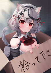  absurdres animal_ear_fluff animal_ears black_hair blush bow bowtie breasts cat_ears cat_girl cat_tail closed_mouth detached_collar ear_piercing extra_ears female for_adoption grey_hair hair_ribbon highres hololive kemonomimi_mode large_breasts looking_at_viewer maid_headdress medium_hair multicolored_hair nikahoshikuzu piercing plaid plaid_bow plaid_bowtie red_bow red_bowtie red_eyes red_nails red_ribbon ribbon sakamata_chloe solo streaked_hair tail tail_raised thighhighs translated virtual_youtuber 