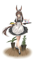  absurdres alternate_costume amiya_(arknights) animal_ears apron arknights artist_name black_dress blue_eyes brown_hair commentary crossed_legs dress drinking_straw english_commentary enmaided female flower_pot food full_body glass hair_between_eyes highres holding holding_plate ku-ini loafers long_hair looking_at_viewer maid maid_headdress omelet omurice open_mouth parfait plant plate ponytail rabbit_ears rabbit_girl shoes sidelocks simple_background socks solo very_long_hair waist_apron watson_cross white_background white_socks wooden_floor 