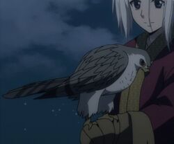  animated animated arslan arslan_senki bird hawk white_hair 