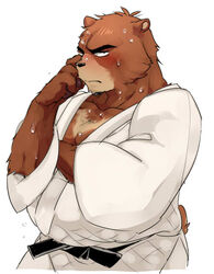  1boshi 2013 anthro bear black_nose blush bodily_fluids brown_body brown_fur fur humanoid_hands juuichi_mikazuki keikogi kemono male mammal martial_arts_uniform morenatsu overweight overweight_male simple_background solo sportswear sweat white_background 