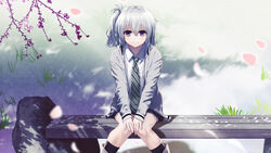  ai_(re:lief) bench black_socks blue_skirt blush cherry_blossoms closed_mouth collared_shirt diagonal-striped_clothes diagonal-striped_necktie female game_cg grey_hair grey_jacket hair_between_eyes hands_on_own_knees jacket kneehighs kurono_mitsuki long_hair long_sleeves looking_at_viewer miniskirt necktie open_clothes open_jacket outdoors plaid plaid_skirt purple_eyes re:lief_~shin&#039;ai_naru_anata_e~ shirt side_ponytail sitting skirt smile socks solo spring_(season) striped_clothes striped_socks vertical-striped_clothes vertical-striped_socks white_shirt wing_collar 