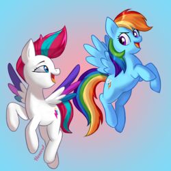  1:1 absurd_res duo equid equine female female/female feral friendship_is_magic hasbro hexecat hi_res horse mammal mlp_g5 my_little_pony mythological_creature mythological_equine mythology pegasus pony rainbow_dash_(mlp) wings zipp_storm_(mlp) 