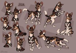  4_toes african_wild_dog black_nose canid canine collar ear_piercing ear_ring feet feral hi_res kitchiki male mammal paws piercing quadruped ring_piercing sitting smile solo standing teeth toes 