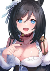  animal animal_ears black_hair blue_eyes blush bob_cut breasts bug choker cleavage collarbone detached_sleeves dirndl eishin_flash_(umamusume) female german_clothes hashiko_nowoto horse_ears horse_girl ladybug large_breasts looking_at_viewer md5_mismatch open_mouth red_choker short_hair simple_background smile solo swept_bangs teeth umamusume upper_body upper_teeth_only white_background 