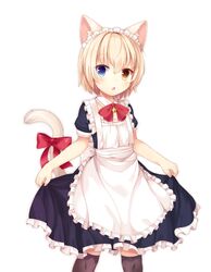  1boy animal_ears apron bell blonde_hair blue_eyes cat_boy cat_ears collar commentary crossdressing feet_out_of_frame heterochromia highres kida_kuro_mu kneehighs maid maid_apron maid_headdress male_focus male_maid neck_bell original otoko_no_ko ribbon shiro_(kida_kuro_mu) short_hair simple_background socks solo tail tail_ornament tail_ribbon white_background yellow_eyes 