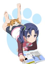  animal barefoot bike_shorts blue_hair casual commentary_request feet feline female full_body head_on_ass high_school_fleet highres isoroku_(haifuri) jacket long_hair looking_at_viewer lying magazine_(object) on_stomach paw_print purple_eyes sanohiramugi side_ponytail simple_background solo track_jacket wazumi_hime 