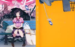  absurdres animal bag bench black_hair breasts cardboard cover dvd_cover female hair_ornament hairclip hanekawa_tsubasa highres kako_(monogatari) large_breasts monogatari_(series) naoetsu_high_school_uniform nekomonogatari official_art oversized_animal parted_lips plastic_bag purple_eyes road_sign scan school_uniform shoes short_hair sign sitting socks tiger 