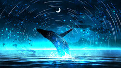  blue_theme commentary crescent_moon glowing highres humpback_whale moon night no_humans ocean original outdoors rinneko_(rinne_paint) scenery star_(symbol) star_trail whale 