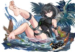  arknights arm_strap arm_support bare_shoulders barefoot between_breasts black_eyes black_hair black_shorts blush breasts creature feather_hair feet female fish full_body hair_ornament hairclip la_pluma_(arknights) large_breasts leaning_back legs_up looking_away looking_to_the_side originium_slug_(arknights) shallow_water short_hair short_shorts shorts simple_background sitting solo toes transparent_background underbust uruzu water zipper_pull_tab 