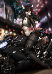  2021 5_fingers anthro black_hair black_nose breasts canid canine digital_media_(artwork) elvofirida female fingers fox hair hi_res keira_niobe mammal midriff navel red_eyes smile solo 