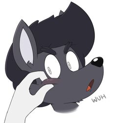  2017 acstlu ambiguous_gender angry anthro black_hair black_nose canid canine cheek_pinch digital_drawing_(artwork) digital_media_(artwork) english_text fox fur grey_body grey_fur hair headshot_portrait inner_ear_fluff looking_aside mammal offscreen_character onomatopoeia phursie portrait simple_background solo sound_effects text tongue tuft 