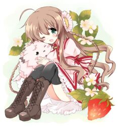  ;d ahoge bad_id bad_pixiv_id black_thighhighs blush boots braid brown_hair canine chibi-moth commentary_request dress female food fruit green_eyes highres hizuki_yayoi kanbe_kotori kazamatsuri_institute_high_school_uniform knee_boots long_hair one_eye_closed open_mouth oversized_object rewrite school_uniform sitting smile solo strawberry thighhighs twin_braids 