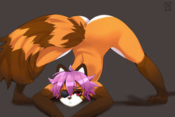  ailurid anthro ass ass_up brown_body brown_fur eye_patch eyewear female fur hair hi_res jack-o&#039;_pose kassidi_(moonfluffmf) looking_at_viewer mammal moonfluffmf multicolored_body multicolored_fur orange_body orange_fur paws pink_hair pose presenting red_eyes red_panda solo spread_butt spread_legs spreading white_body white_fur 