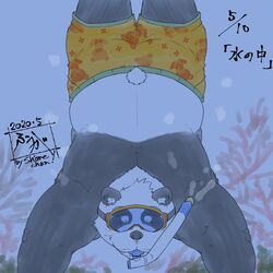  1:1 2020 anthro ass bear black_body black_fur black_nose clothing fur giant_panda hi_res kemono male mammal overweight overweight_anthro overweight_male solo swimwear tanutronik753_k underwater water white_body white_fur 