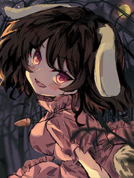  :d animal_ears blurry blurry_foreground blush breasts brown_hair carrot_necklace commentary_request dress extra_ears female full_body hair_between_eyes head_tilt highres inaba_tewi jewelry looking_at_viewer necklace night open_mouth outdoors pink_dress puffy_sleeves rabbit_ears rabbit_girl rabbit_tail red_eyes sideboob sky smile solo star_(sky) starry_sky sutaku77224 tail touhou v-shaped_eyebrows 