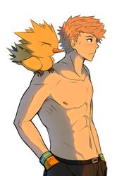  1boy abs animal_on_shoulder bad_link belt bird bird_on_shoulder blush brown_pants closed_mouth collarbone frown gloves hands_in_pockets kimchikat male_focus navel nipples on_shoulder orange_gloves orange_hair pants pokemon pokemon_(creature) pokemon_go pokemon_on_shoulder short_hair simple_background spark_(pokemon) spiked_hair sweatdrop topless_male white_background zapdos 