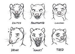  2020 american_opossum digital_media_(artwork) english_text fur hair mammal marsupial open_mouth teeth tenynn text tongue 