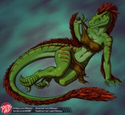  anthro anthrosaurs bottomwear breasts clothed clothing dinosaur dromaeosaurid extinct feathered_tail feathers female hi_res loincloth non-mammal_breasts predaguy prehistoric_species reptile scalie solo tail text theropod tribal tribal_clothing url uthalla velociraptor 