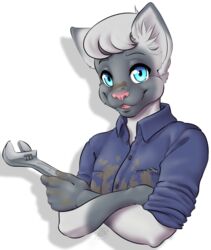  2020 anthro blue_clothing blue_eyes blue_shirt blue_topwear bust_portrait catsby_mcyifferson clothing collared_shirt crossed_arms digital_drawing_(artwork) digital_media_(artwork) dirty_face dirty_hands dirty_shirt domestic_cat eyebrows felid feline felis fur grey_body grey_fur head_tuft hi_res holding_object holding_tool holding_wrench humanoid_hands looking_at_viewer male male_anthro mammal open_mouth open_smile pink_nose pink_tongue portrait rolled_up_sleeves shaded shirt siamese simple_background smile smile_lines soft_shading solo strawberrycucumber tongue tools topwear tuft white_background wrench 