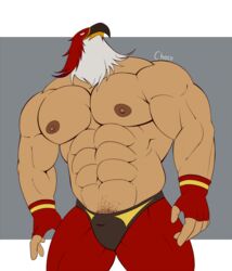  abs animal_head biceps bottomwear chococlass clothing for_a_head garou:_mark_of_the_wolves gloves handwear hi_res humanoid king_of_fighters looking_up male mammal muscular muscular_humanoid muscular_male nipples pants pecs snk solo tizoc white_eyes wrestler 