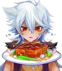  1boy bone_necklace ear_piercing food genshin_impact hair_between_eyes highres holding holding_plate long_hair looking_at_food male_focus meat parted_lips piercing plate razor_(genshin_impact) red_eyes saliva scar scar_on_face simple_background solo sparkle tianshu_meat_(genshin_impact) translation_request u0rei upper_body white_background white_hair 