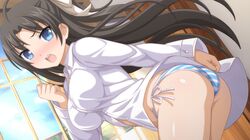  ahoge ass bent_over bikini black_hair blue_bikini blue_eyes blush breasts clenched_hand dutch_angle female game_cg hair_ribbon large_breasts long_hair looking_at_viewer mieko_(sakura_swim_club) open_mouth ribbon sakura_swim_club shirt side-tie_bikini_bottom solo striped_bikini striped_clothes swimsuit wanaca white_shirt window 