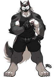  2017 absurd_res alaskan_malamute anthro biceps canid canine canis clothed clothing digital_media_(artwork) domestic_dog drks drks_(drks) fur hi_res kemono male mammal meme meme_clothing muscular muscular_anthro muscular_male nipple_zipper nipples nordic_sled_dog pecs red_eyes shirt solo spitz tank_top top_tank_meme topwear 