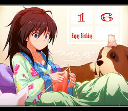  animal black_hair blue_eyes canine commentary_request female ganaha_hibiki hair_down hamster hamuzou happy_birthday idolmaster idolmaster_(classic) inumi knitting letterboxed long_hair photoshop_(medium) ponytail solo st_bernard yuu-yuu 