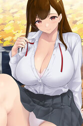  black_skirt blush bra bra_peek breasts brown_eyes brown_hair cleavage collarbone collared_shirt dress_shirt female highres kemigawa_mondo knee_up lace lace-trimmed_bra lace_trim large_breasts long_hair long_sleeves looking_at_viewer original panties pleated_skirt shirt sitting skirt smile solo thighs underwear white_panties white_shirt 