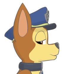  1:1 brown_body brown_eyes brown_fur canid canine canis chase_(paw_patrol) collar domestic_dog fur german_shepherd herding_dog male mammal pastoral_dog paw_patrol police police_dog police_hat portrait sexy_eyes side_view simple_background solo stoopideer tag_(disambiguation) young 