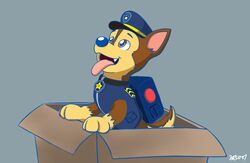  backpack badge box brown_body brown_eyes brown_fur canid canine canis chase_(paw_patrol) clothing collar container cute_fangs domestic_dog feral fur german_shepherd herding_dog male mammal open_mouth pastoral_dog paw_patrol police police_dog police_hat police_uniform rex100 solo tongue tongue_out uniform young 