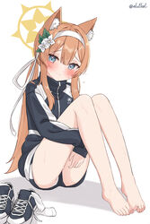  animal_ear_fluff animal_ears bare_legs barefoot black_jacket blue_archive blue_eyes blush brown_hair closed_mouth eluthel feet female flower full_body gym_uniform hair_between_eyes hair_flower hair_ornament hairband halo highres hugging_own_legs jacket knees_up legs legs_together long_hair long_sleeves looking_at_viewer mari_(blue_archive) mari_(track)_(blue_archive) official_alternate_costume shoes simple_background sitting smile solo sweat toenails toes turtleneck turtleneck_jacket twintails unworn_shoes very_long_hair white_background white_flower white_hairband yellow_halo 